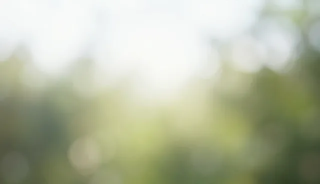 模型选型中的性能分析：一键复制功能如何提升效率